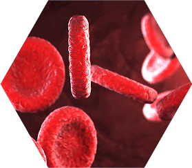 PHASE 1: RECOGNITION During a 2 to 3 minute session at -140c, blood vessels in your skin's surface and muscle tissue constrict, forcing blood away from the peripheral tissues and toward your core, in the core, the body's natural filtration system works to remove toxins and inflammatory properties of the blood. 