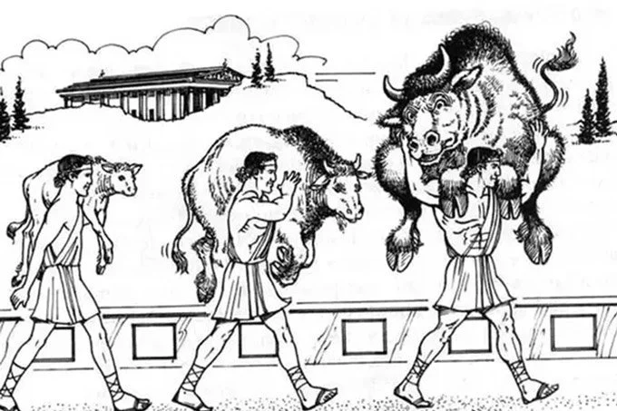 Was ist funktionelles Krafttraining ?