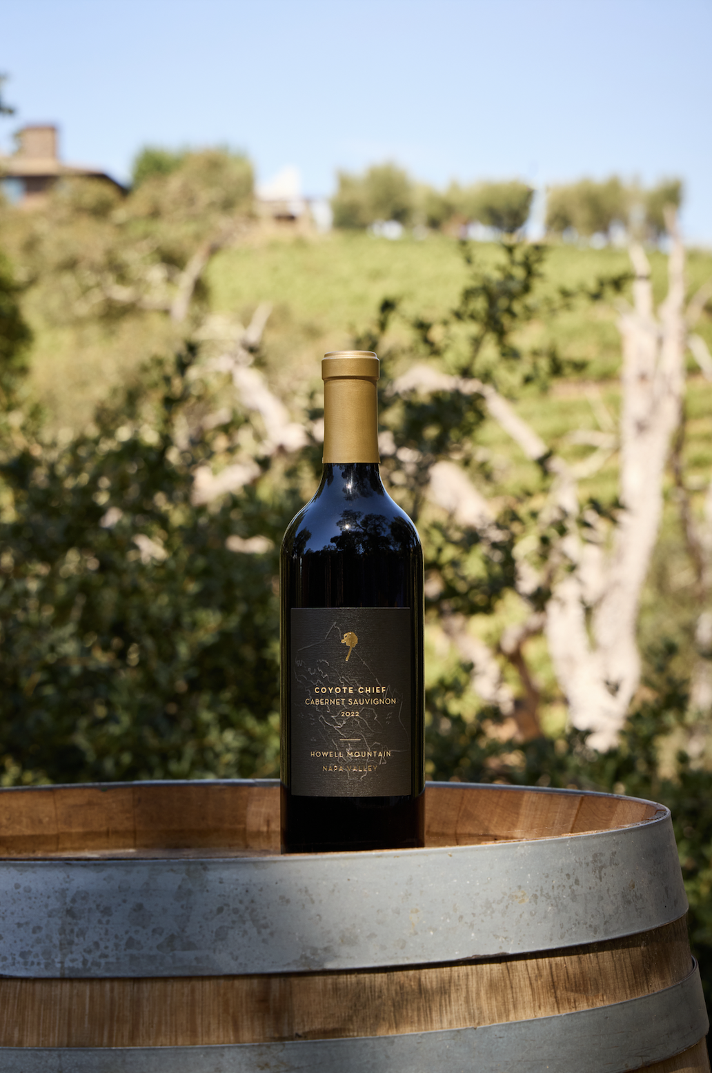 Screenshot 2025-12-15 at 1.24.53 PM.png