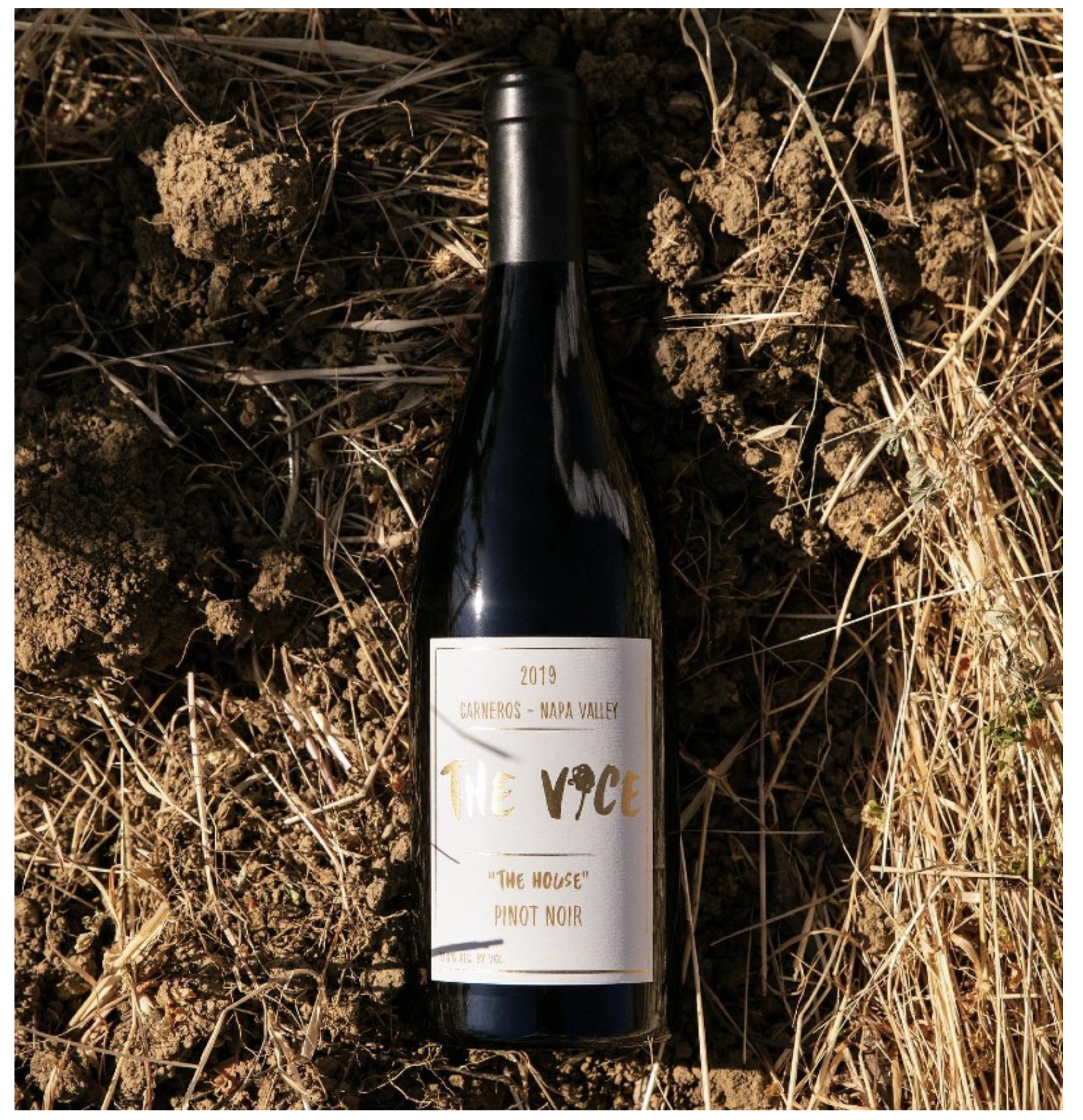 Greer's OC, November 2021