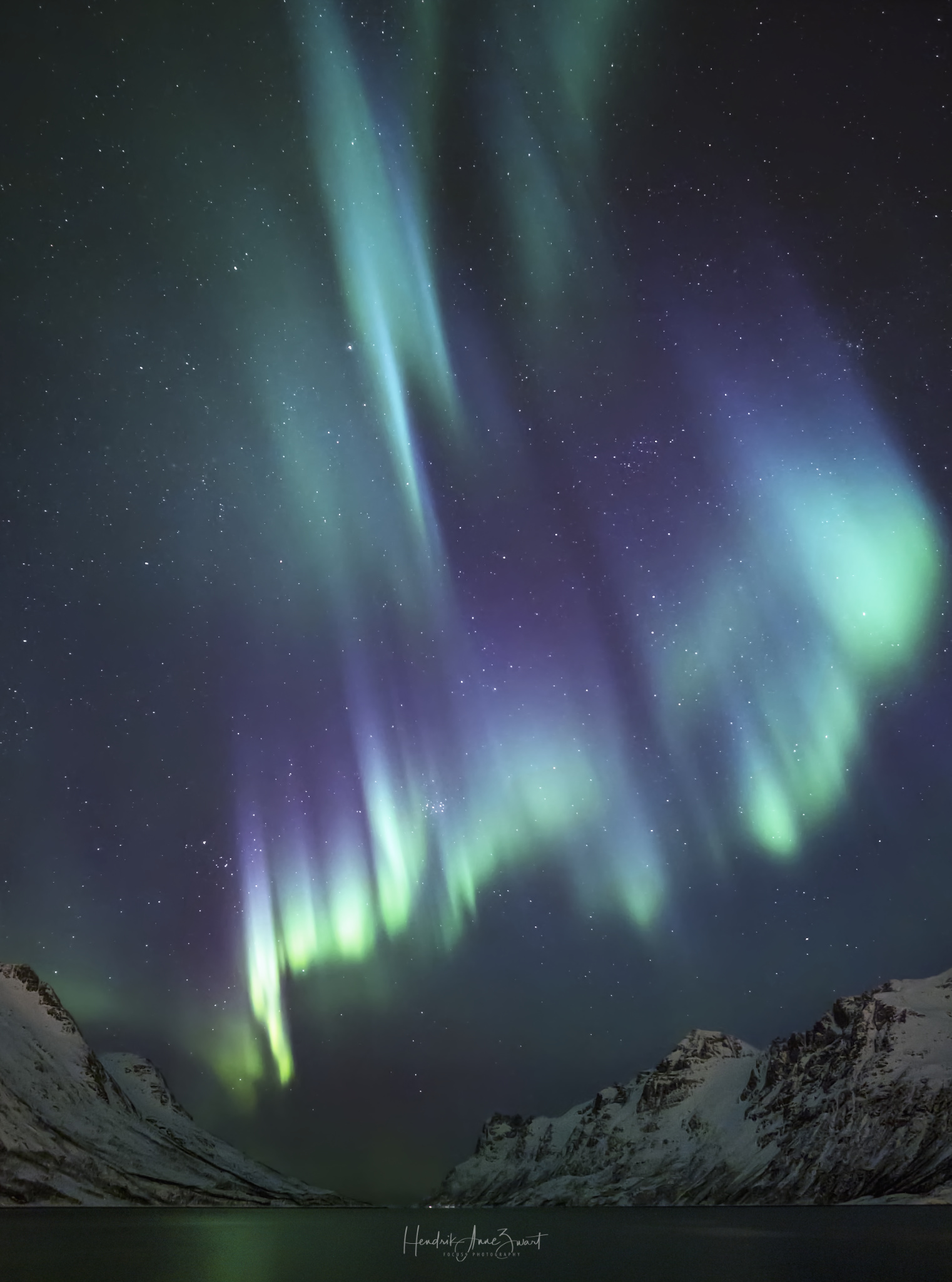 Nordic_Light_Northern_Lights_Ersfjordbotn_7_1_!Norway.jpg