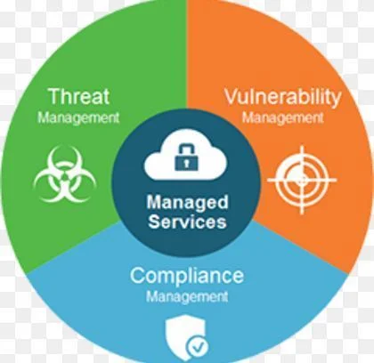 managed-security-services-500x500.jpg