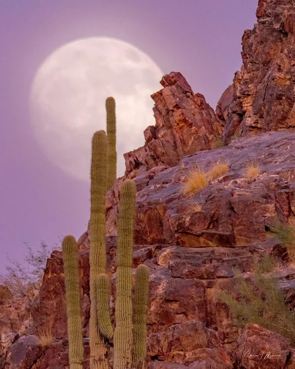 Super Moon, Phoenix, AZ
