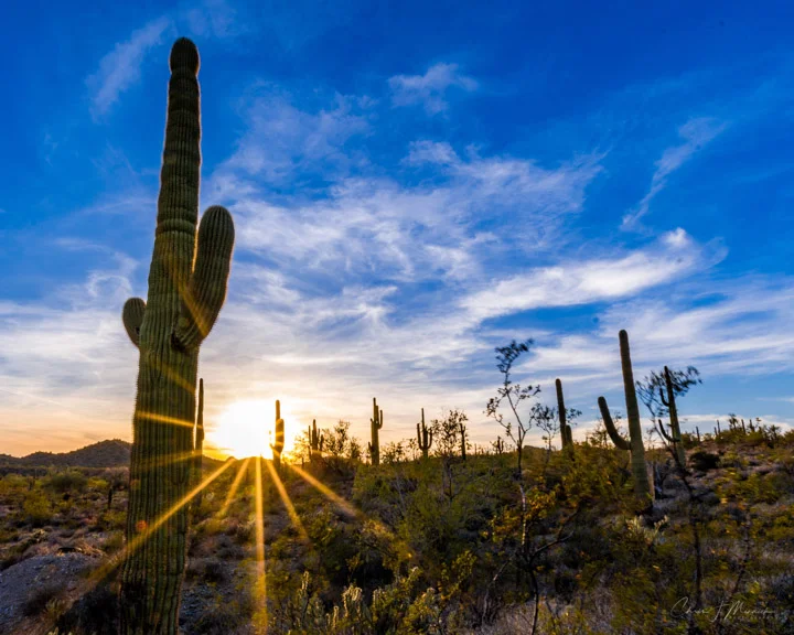 Desert Sunrays, Lake Pleasant, AZ
