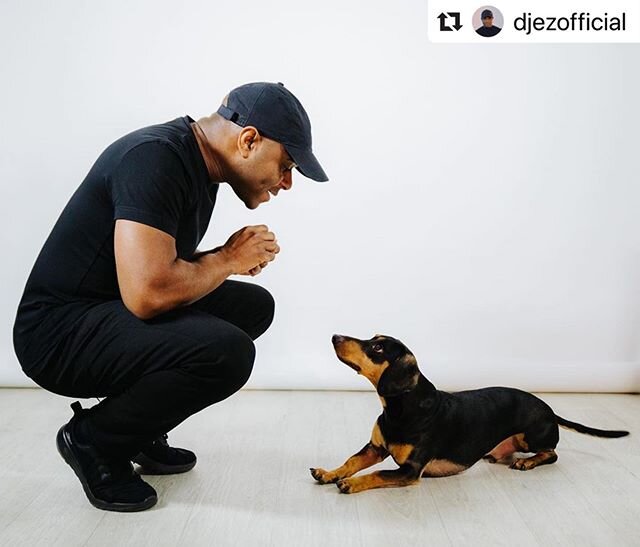When @djezofficial came to shoot here a few weeks back, he fell in love with Cecil and who can blame him!
Shot here at Hot Dog Studios by @ga_walker assisted by @capturedbycorinne and @krishumphreysphoto *
*
*
*
*
*
*
*
*
*
*
*
*
*
*
#hotdogstudios #