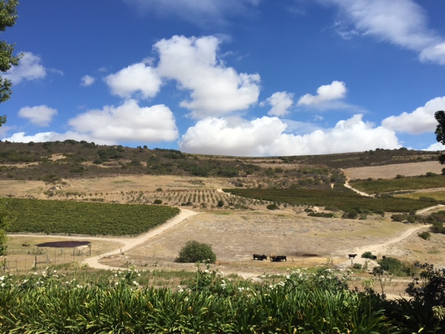 Swartland scenery