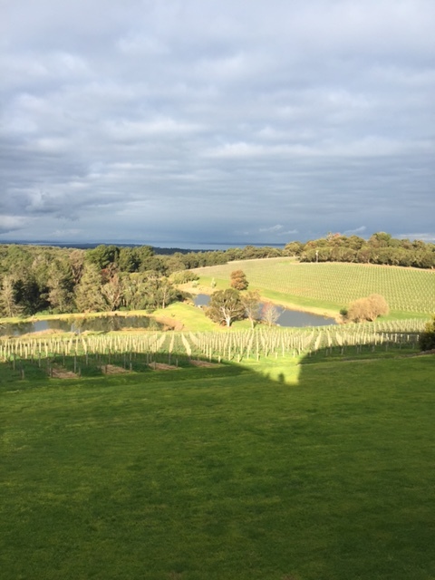 Winter in Australia's Mornington Peninsula