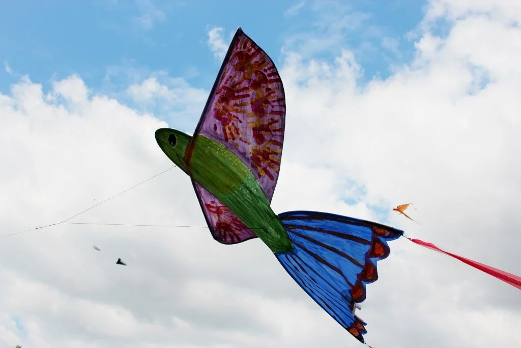 Articulate-Brighton-Kite-Festival-July-2017+(142)+(1024x683).jpg