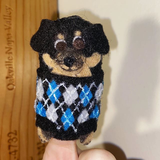 Good Boy Giles in an argyle sweater?!? Suddenly I&rsquo;m in a fall mood...
🧤🍂🧣 Made for @hannahjohnsonwalsh &lsquo;s birthday! IRL photo of Giles stolen from her Insta ☺️ #puppet #puppetmaker #fingerpuppet #dogsofinstagram #puppiesofinstagram #cu