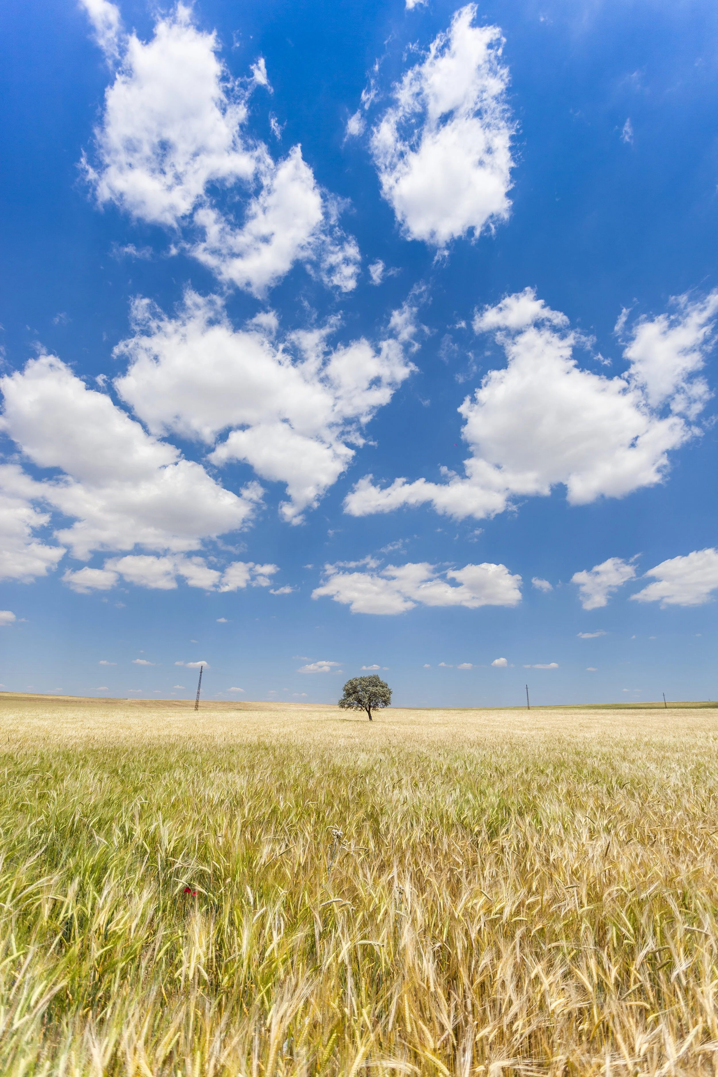Everyone uses pictures of clouds to illustrate the cloud and I am no exception. Image: unsplash