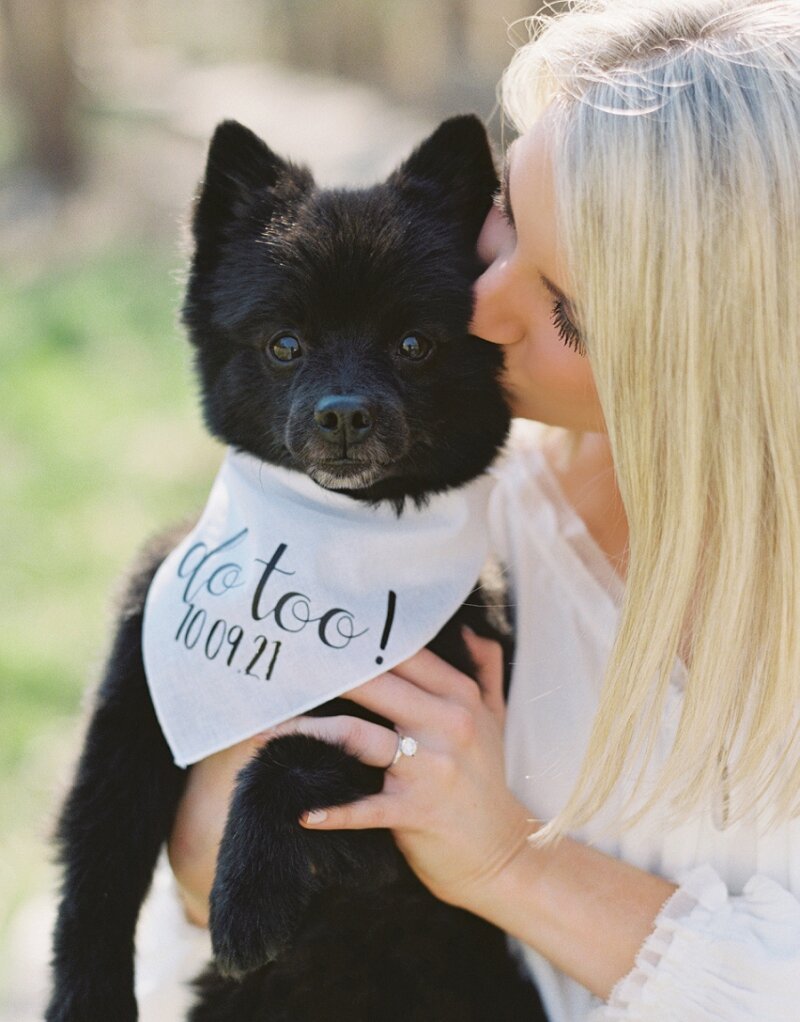 Engagement Session with Dogs