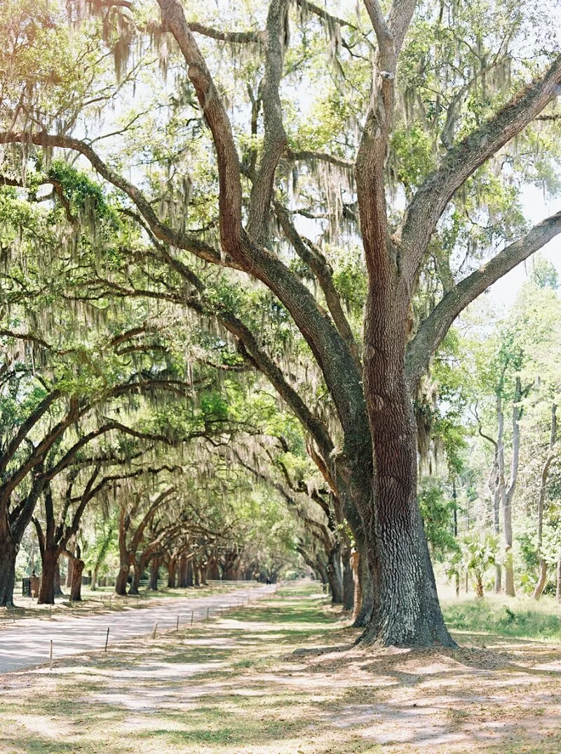 Savannah Wedding Photographer