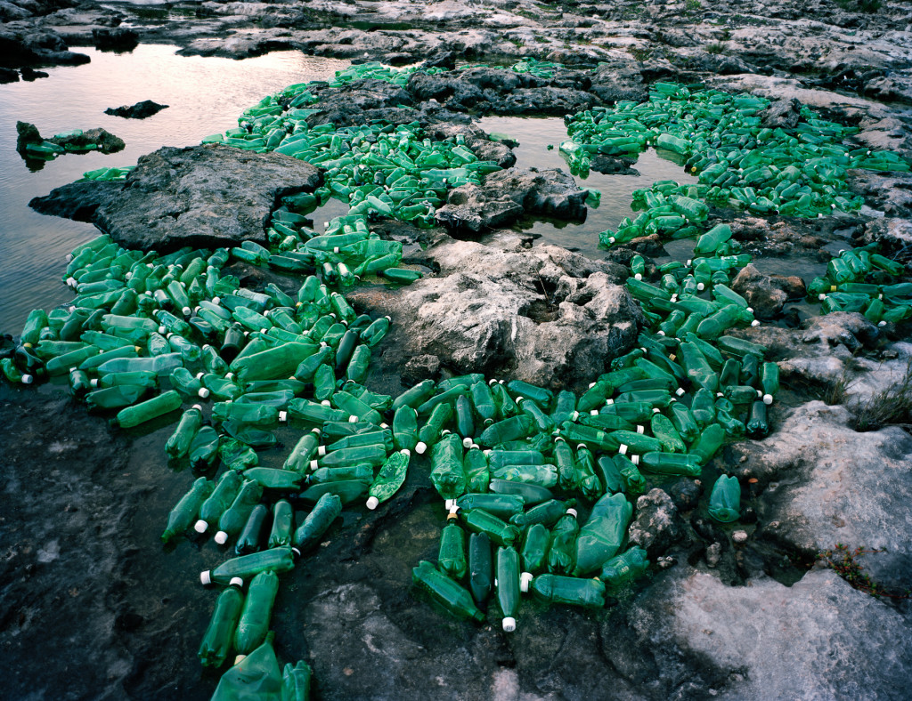 Algas-Algae-2013-1024x788.jpg