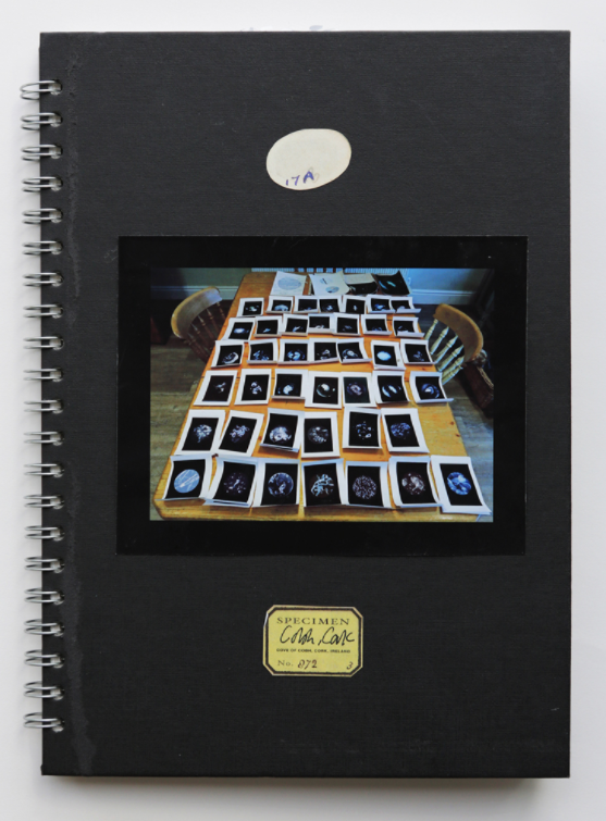Research notebook.