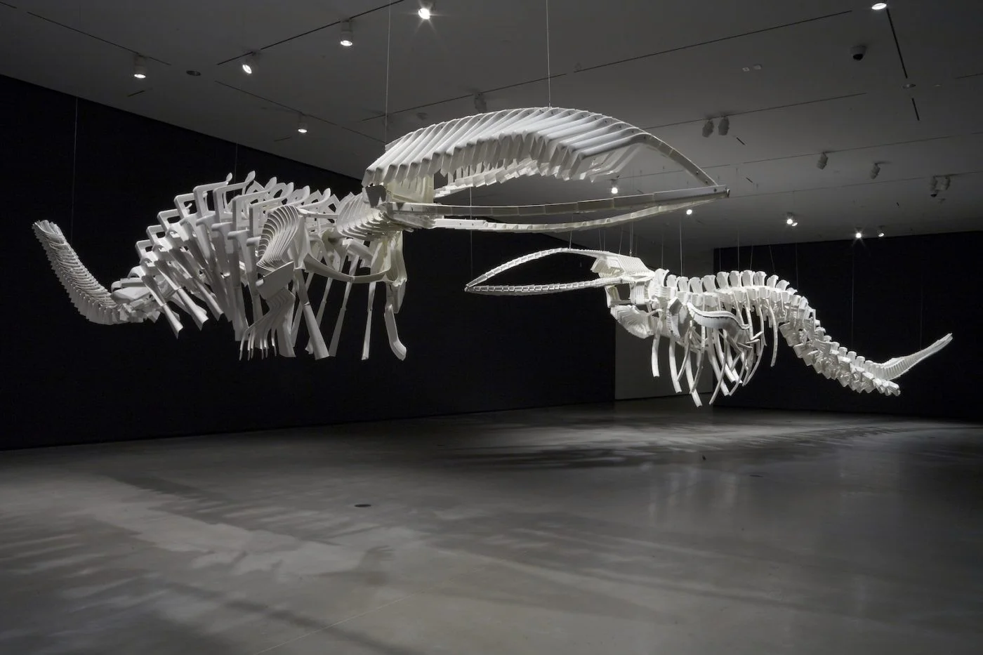 jungen-artwork-002-shapeshiftercetology-2000-1400x933.jpg