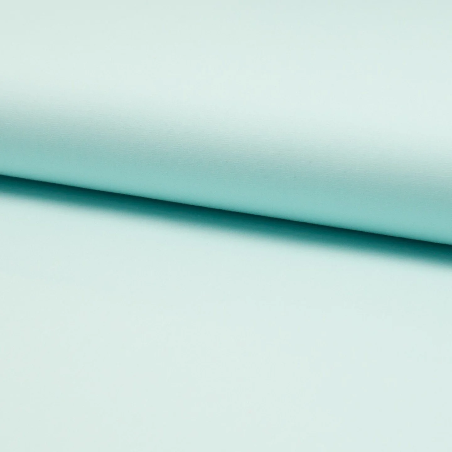 RS0150-221 Mint.jpeg