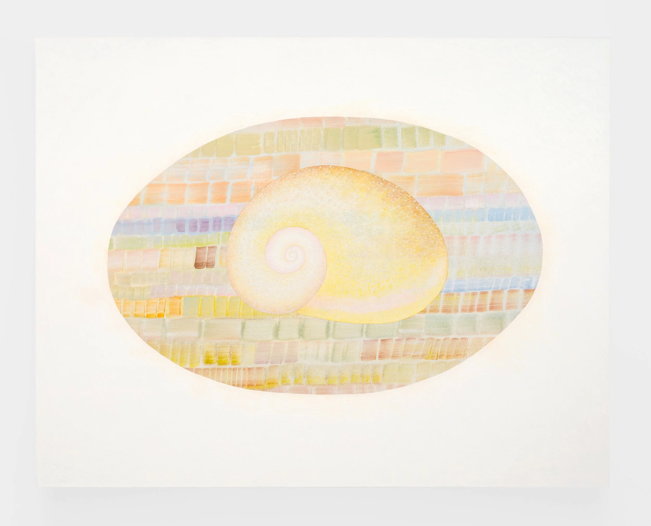 Shell , 110 × 140 cm, oil on canvas, 12.26 gallery, Dallas, US , 2025