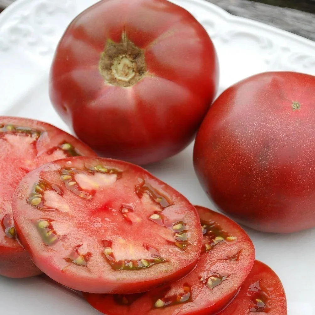 Tomato, Cherokee Purple <br/> <i>Solanum lycopersicum</i>