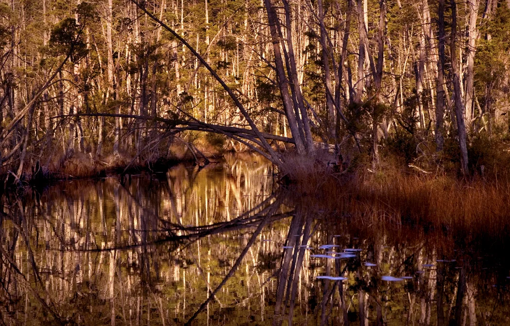 Winter Thaw