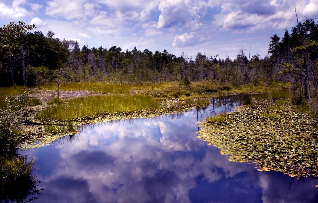 Water Clouds