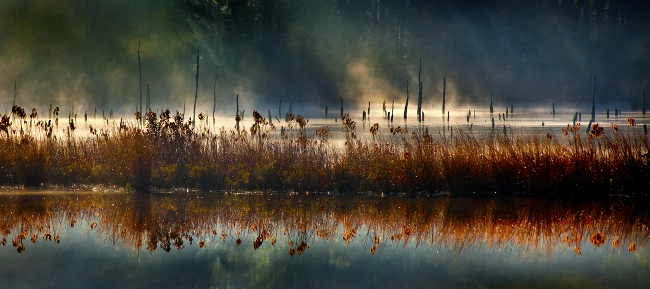 Franklin Preserve - First Light