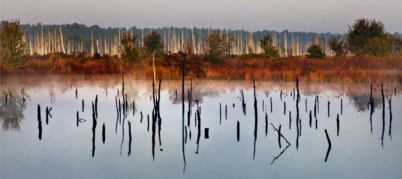 Franklin Preserve - Walking West