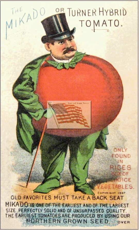 Image credit: Public Domain, 1887 advertisement from Rice’s Box of Choice Vegetables