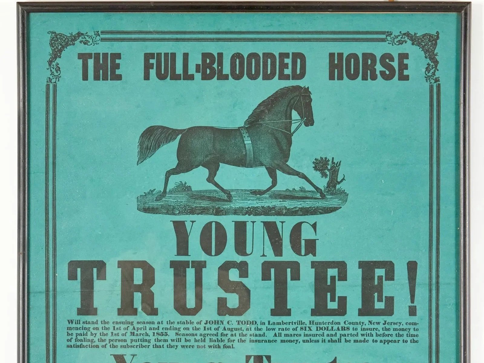 Morven’s Curator Corner: The Young Trustee Broadside