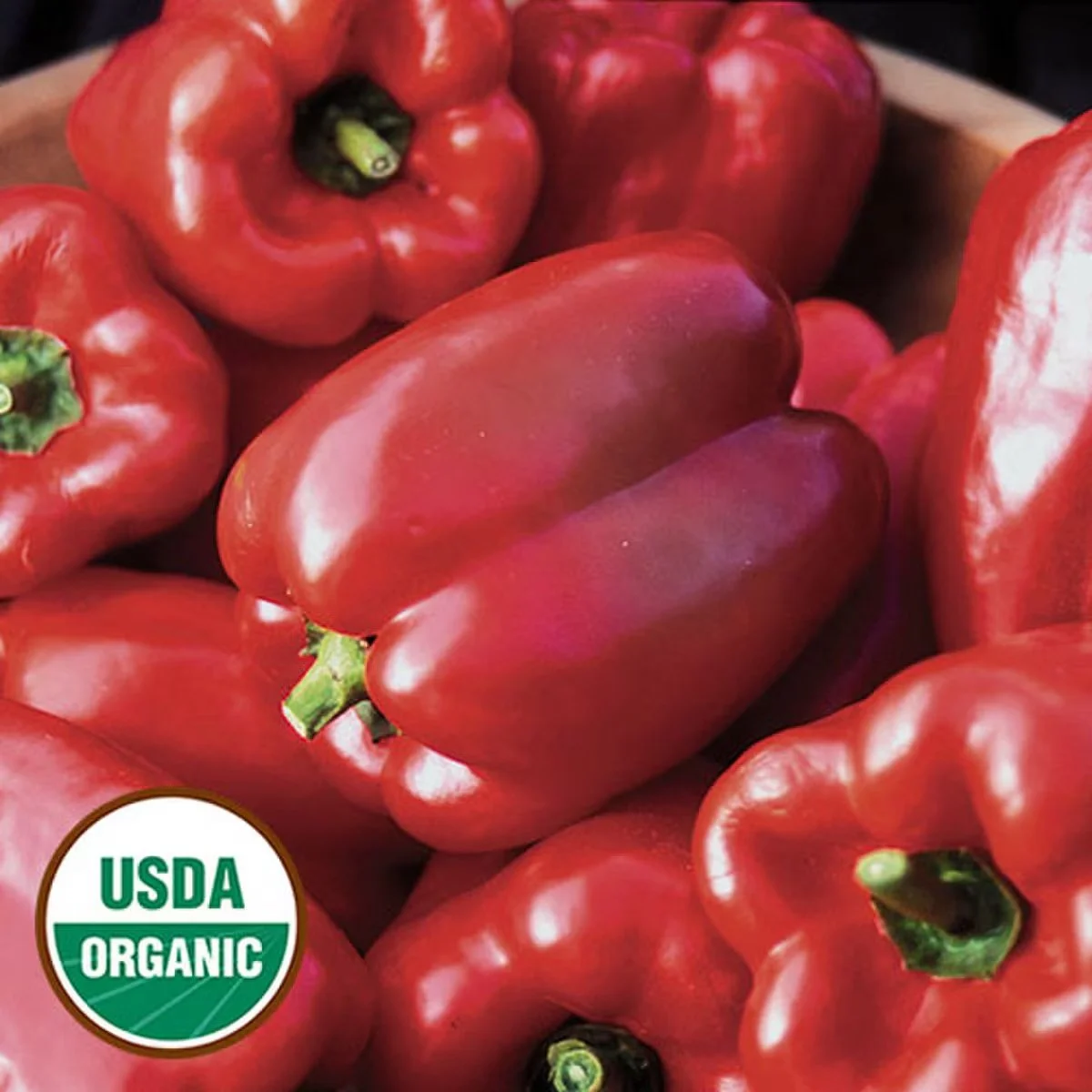 Pepper, King of the North ORGANIC <br/> <i>Capsicum annum</i>