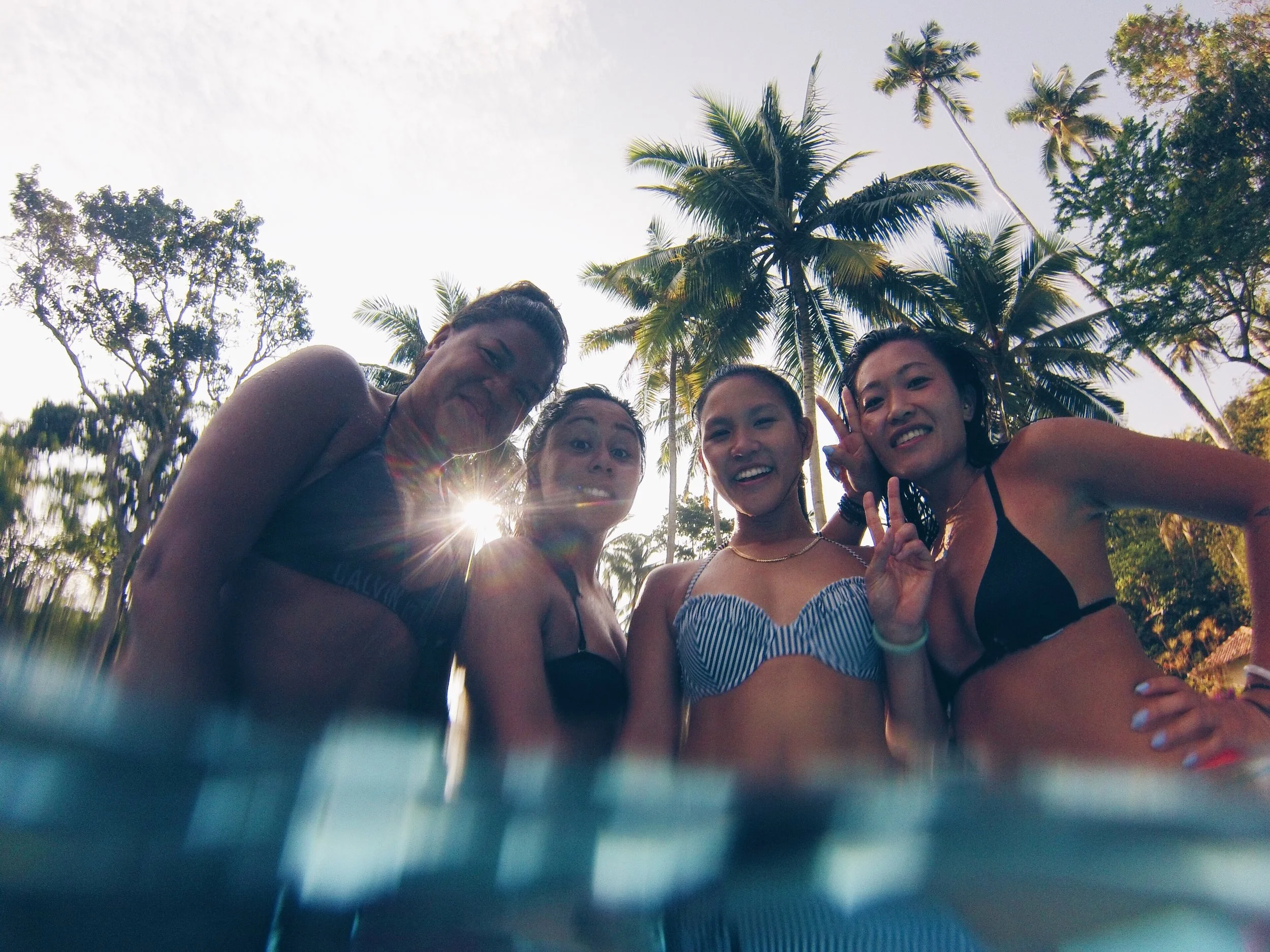 Pool and Palms Trees