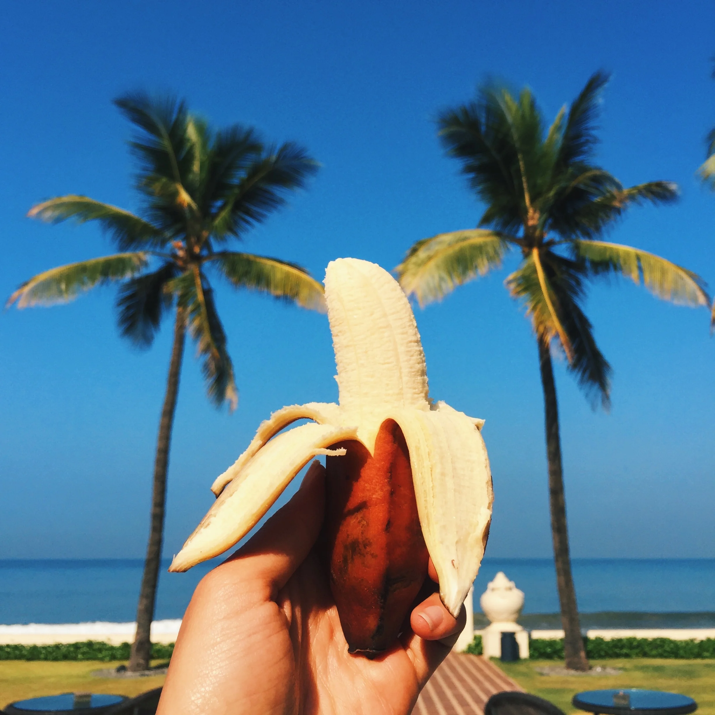 Mini Red Bananas