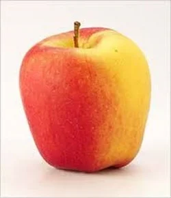 ambrosia_apple.jpg