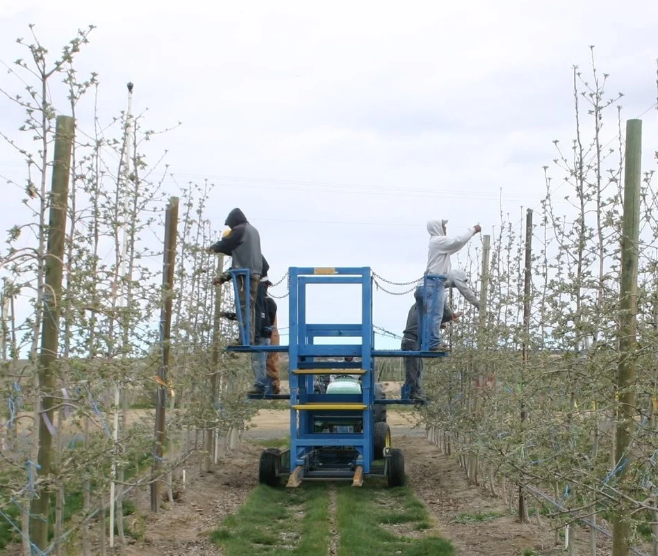 Operations Introduction Royal Bluff Orchards