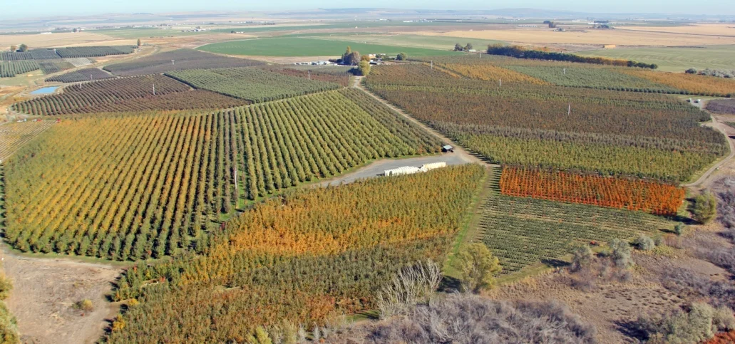 Aerial view of Crave Organics