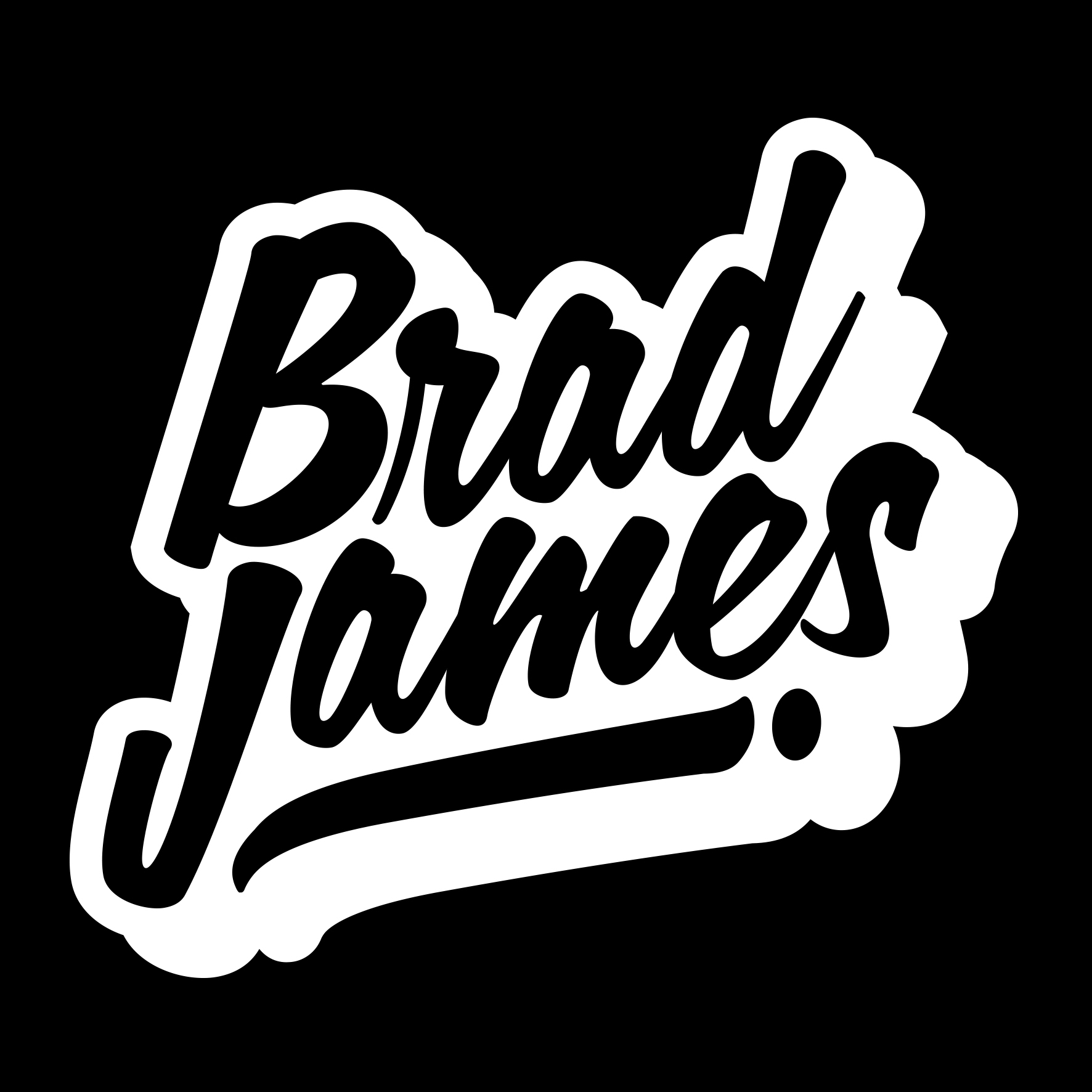 DJ Brad James - Wedding &amp; Private Party Specialist