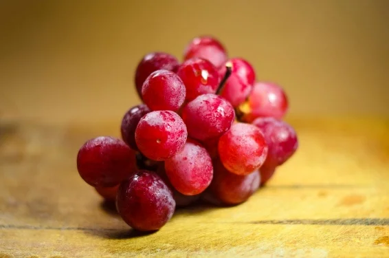 Snacks we love!