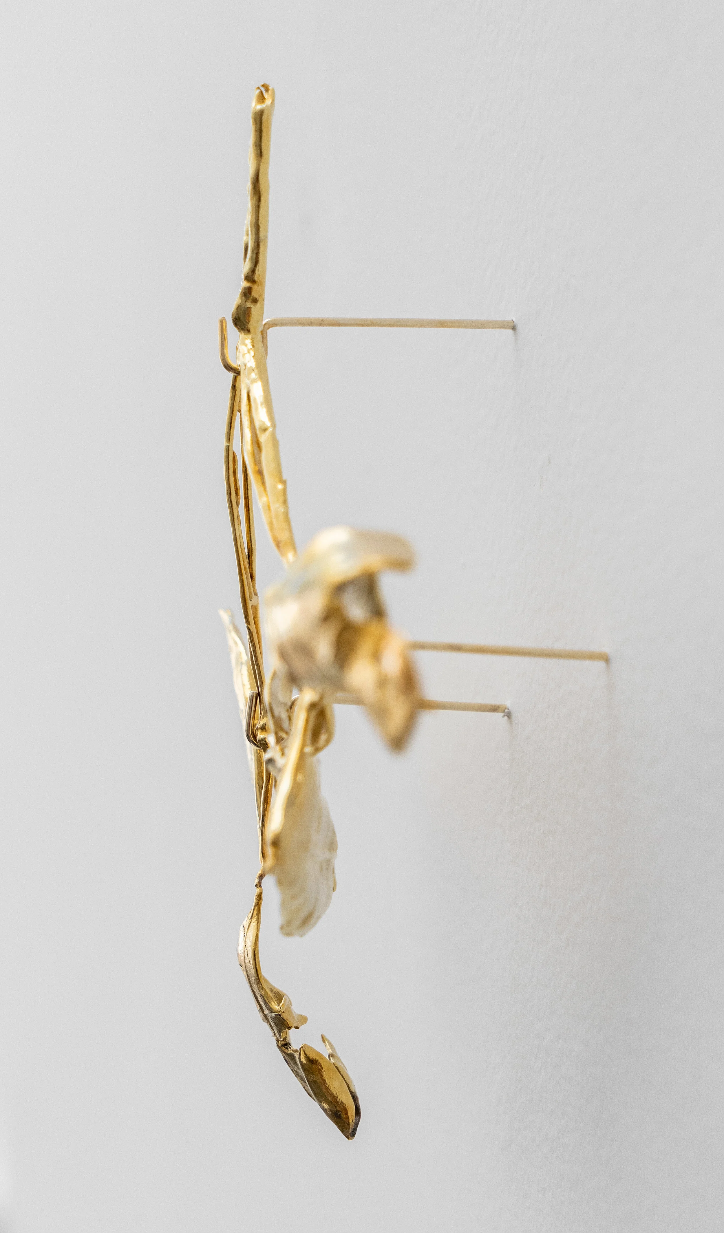 lv_2019_galhinho_03jpg