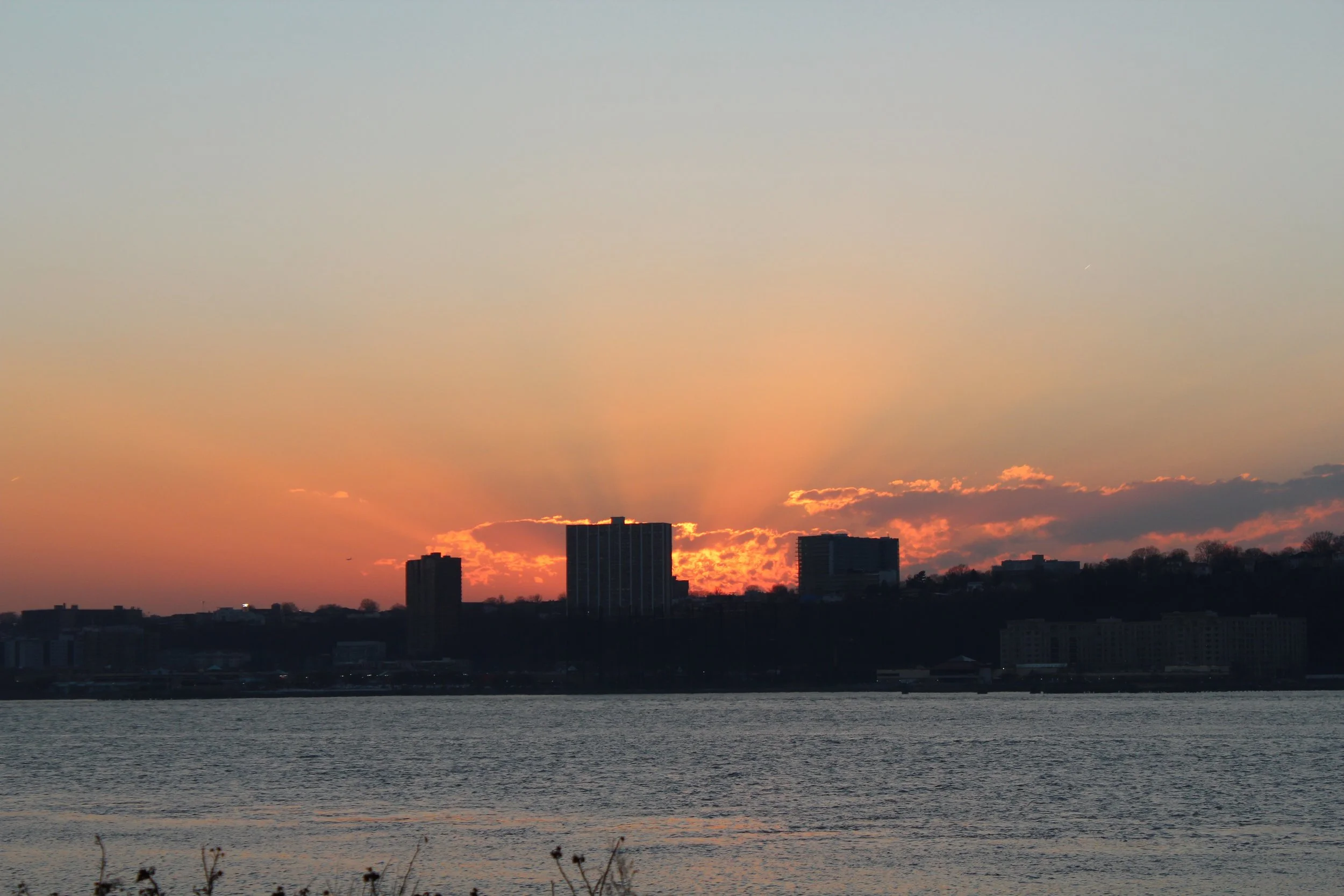 IMG_3752.jpg
