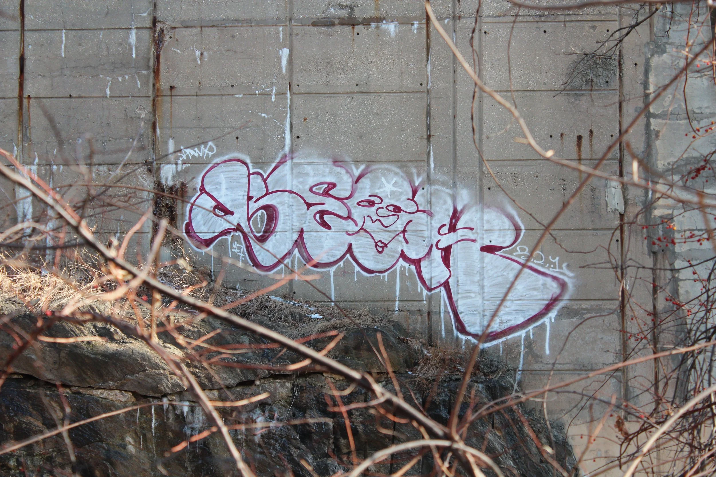IMG_3552.jpg