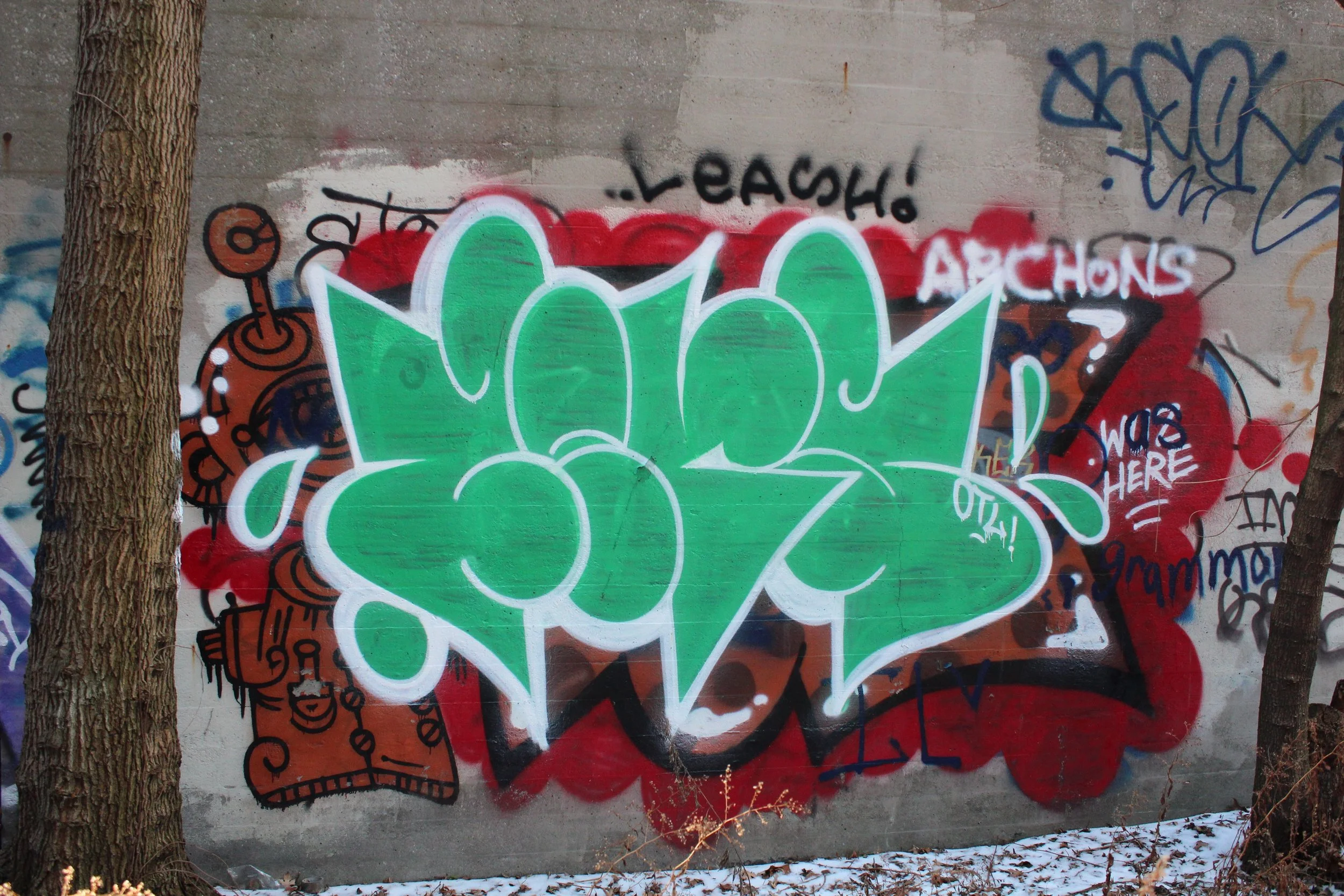 IMG_3563.jpg