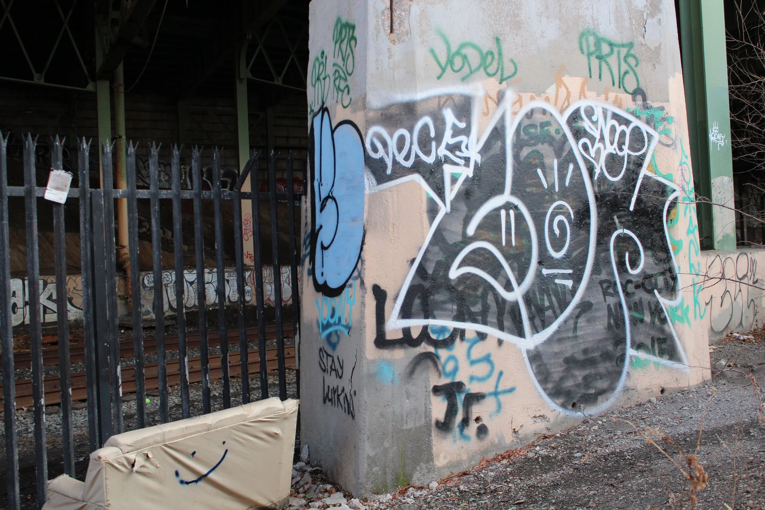 IMG_3575.jpg