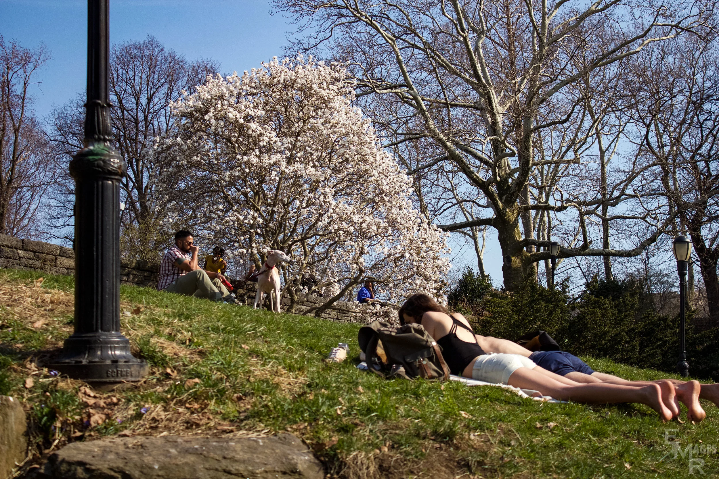 FORT TRYON PARK - APRIL '18