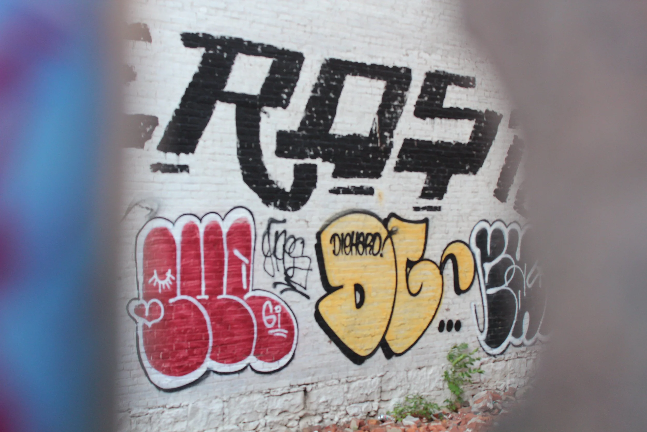 IMG_8616.jpg
