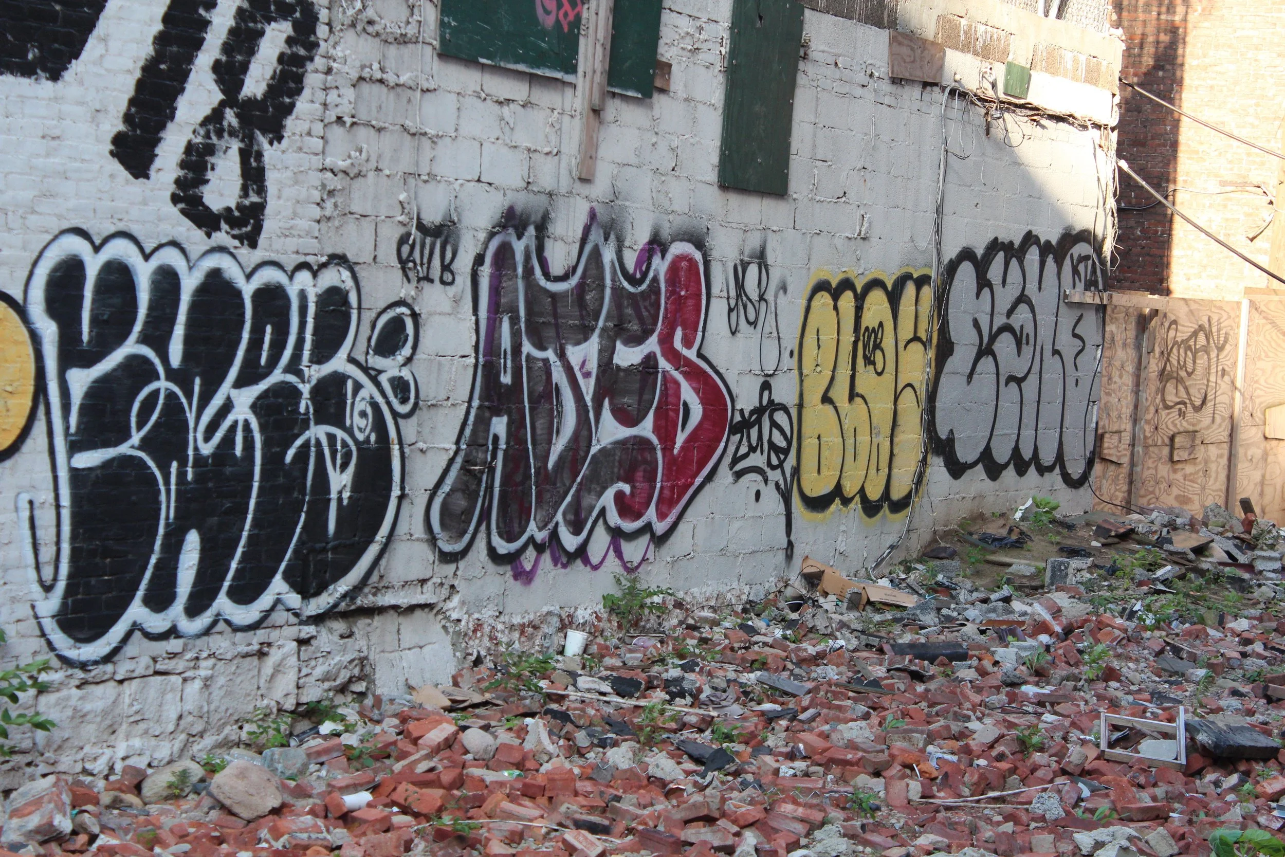 IMG_8617.jpg