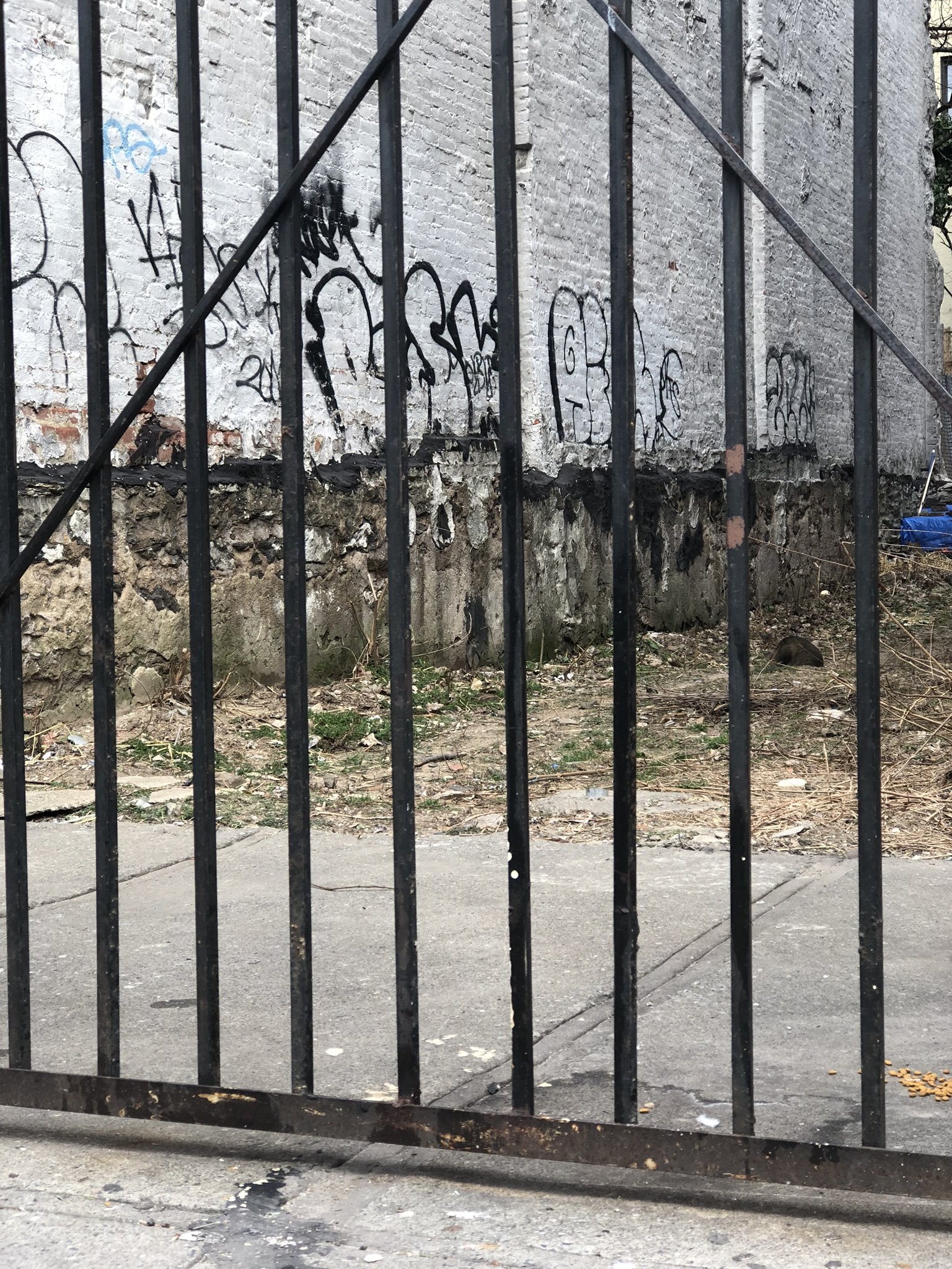 Daily Operation ⏪ January 2019