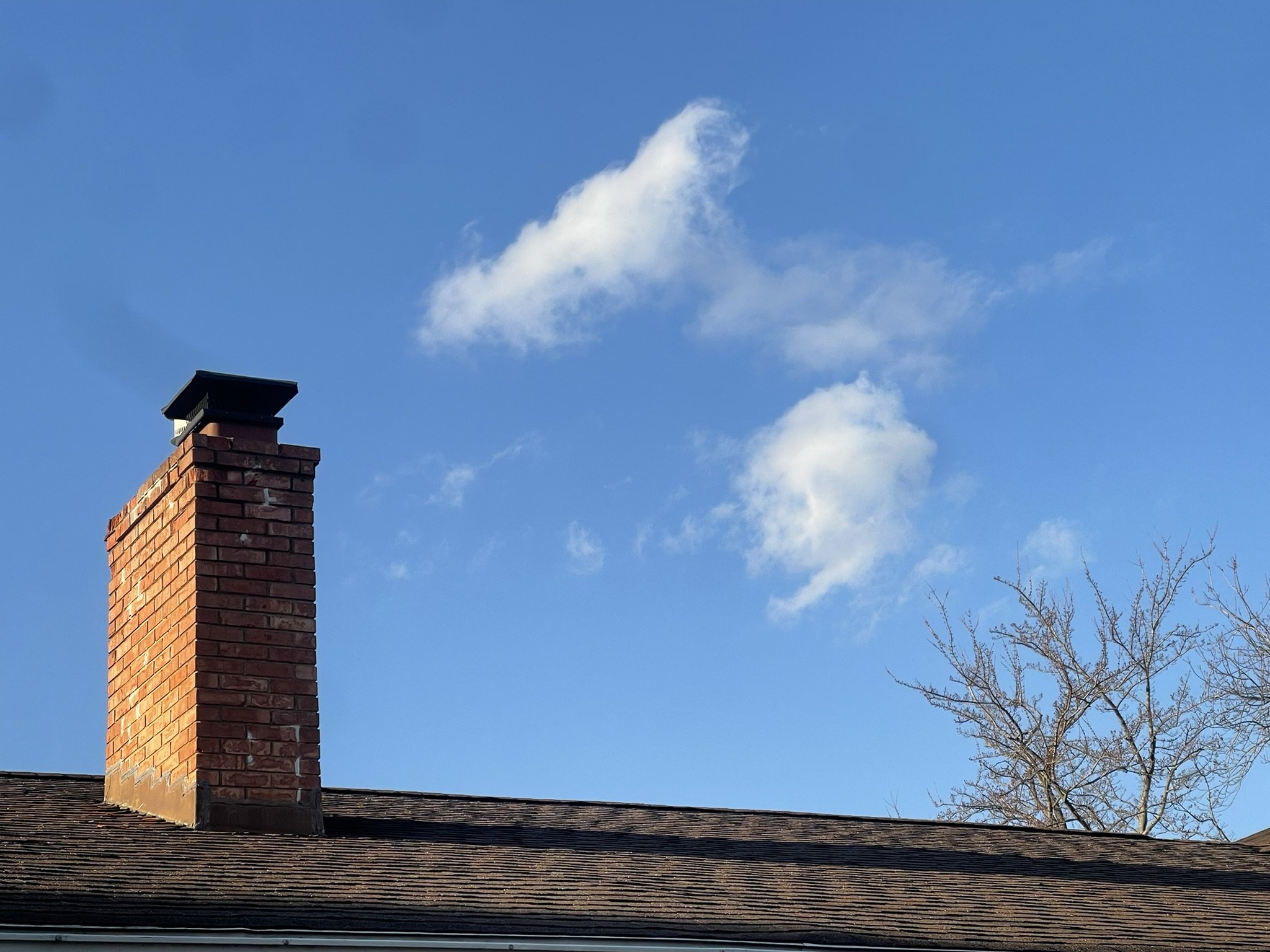 Daily Operation - February 2025