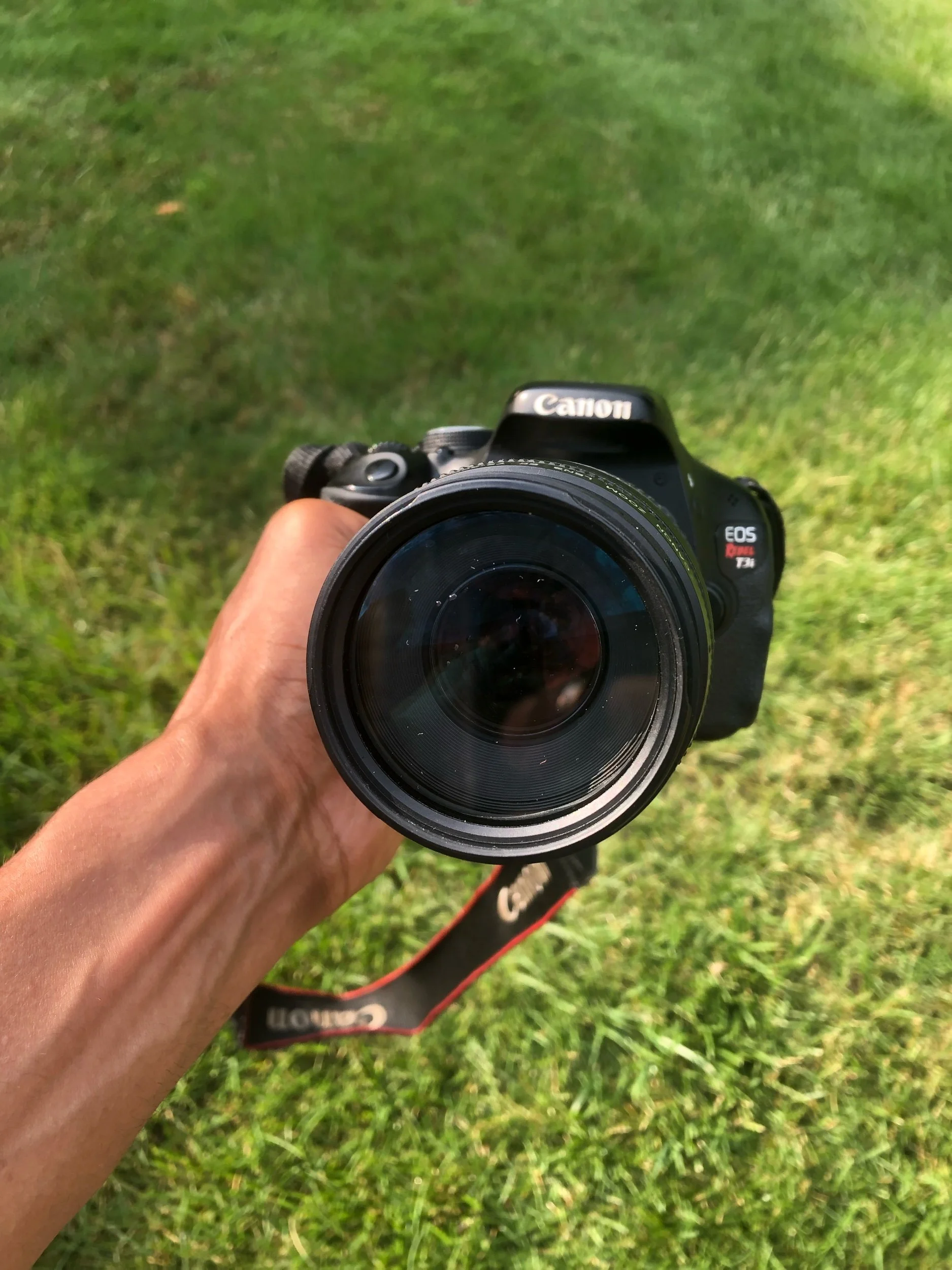 Daily Operation ⏪️ June 2019