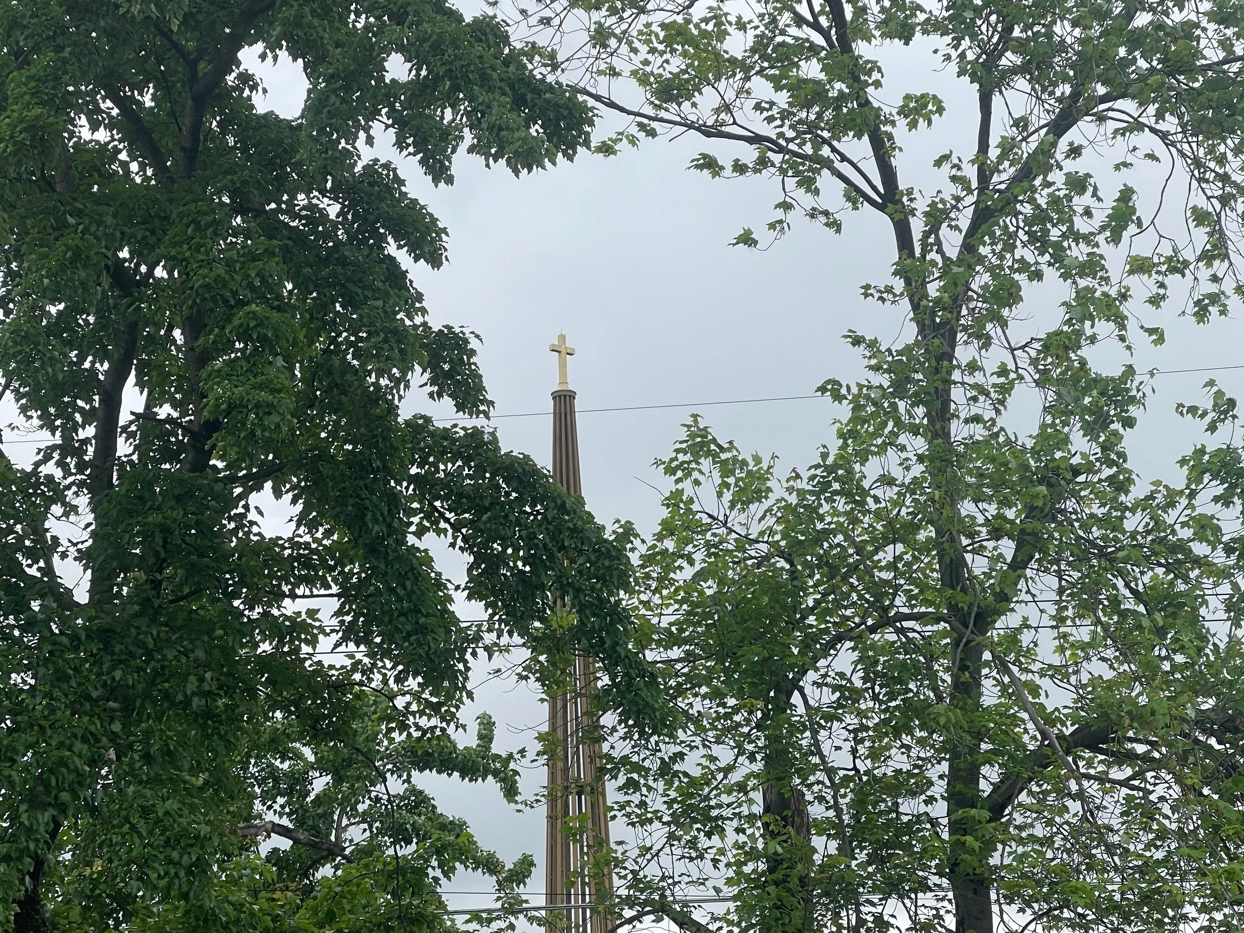 Daily Operation - May 2025