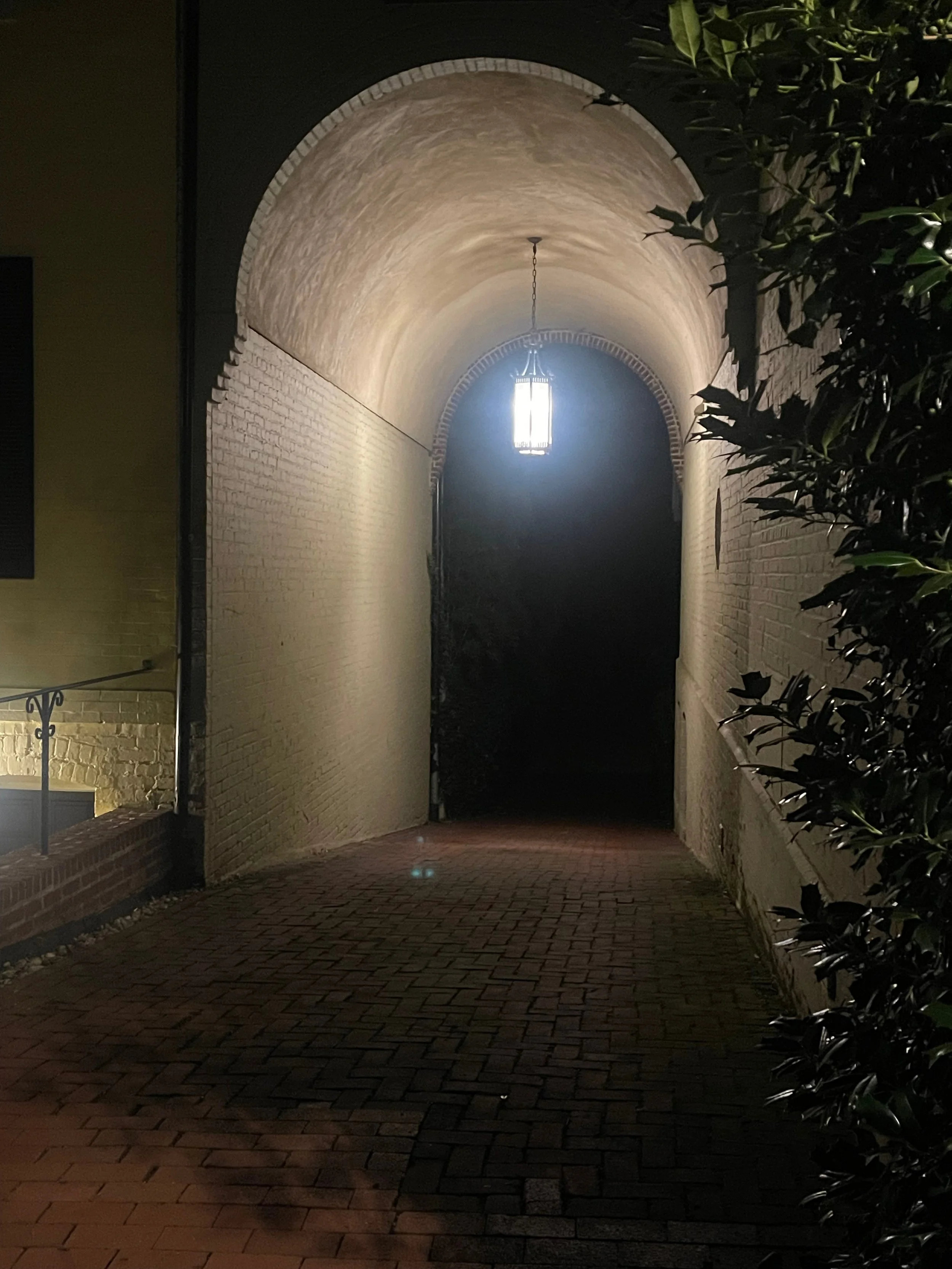 Daily Operation - August 2025