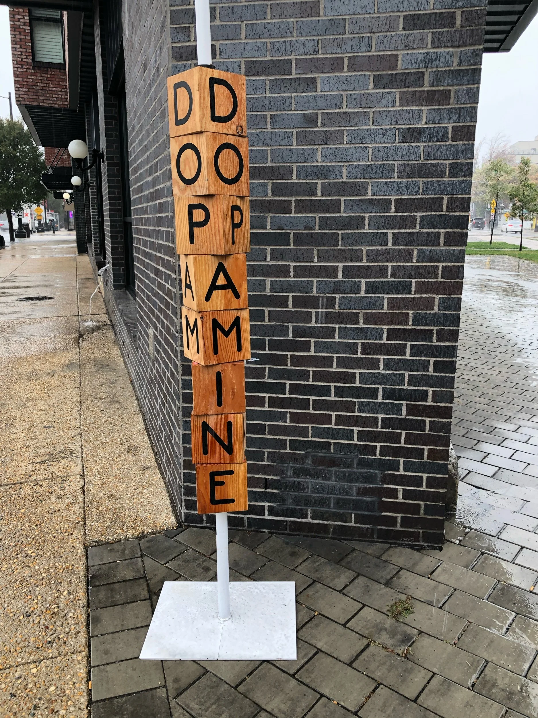 Daily Operation ⏪️ October 2019